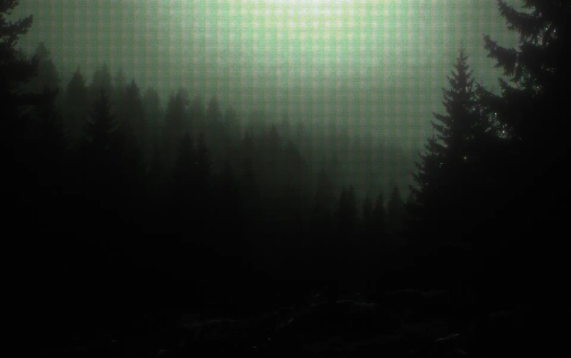 The Forest